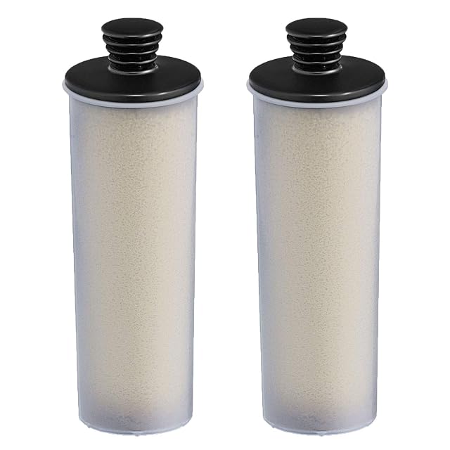 Kärcher SC 3 descaling cartridges for steam cleaners, product photograph